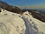 75 ed ora rientro per salire al Pizzo Cerro